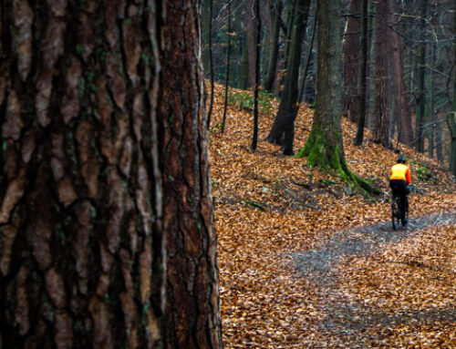 Ben jij al helemaal klaar voor het herfstseizoen?
