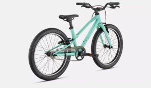 Specialized JETT 20 inch single speed, Gloss Oasis Forest Green