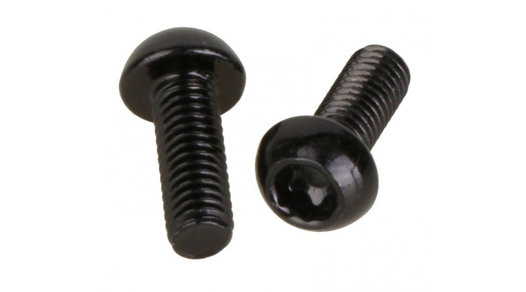 HOPE M3X8 SS TORX DOME HEAD SCREW (2OFF)