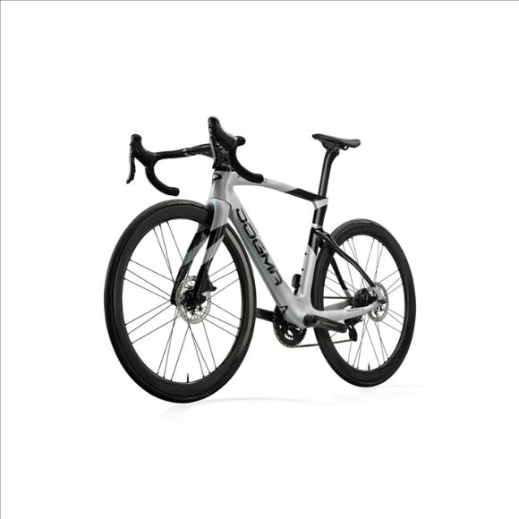 Pinarello Frame Dogma F Disk Maat 54 cm