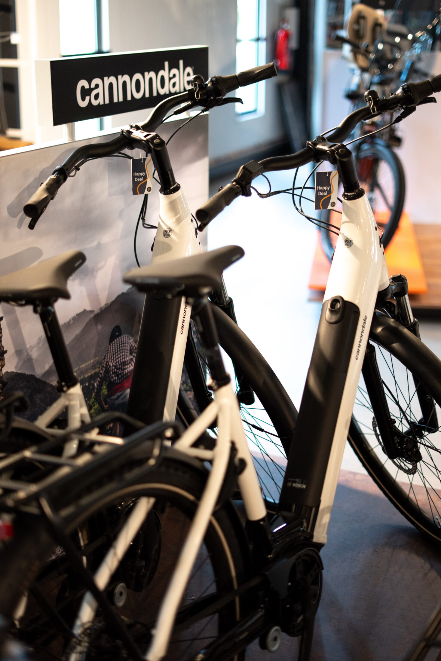 Cannondale Mavaro Neo 5+