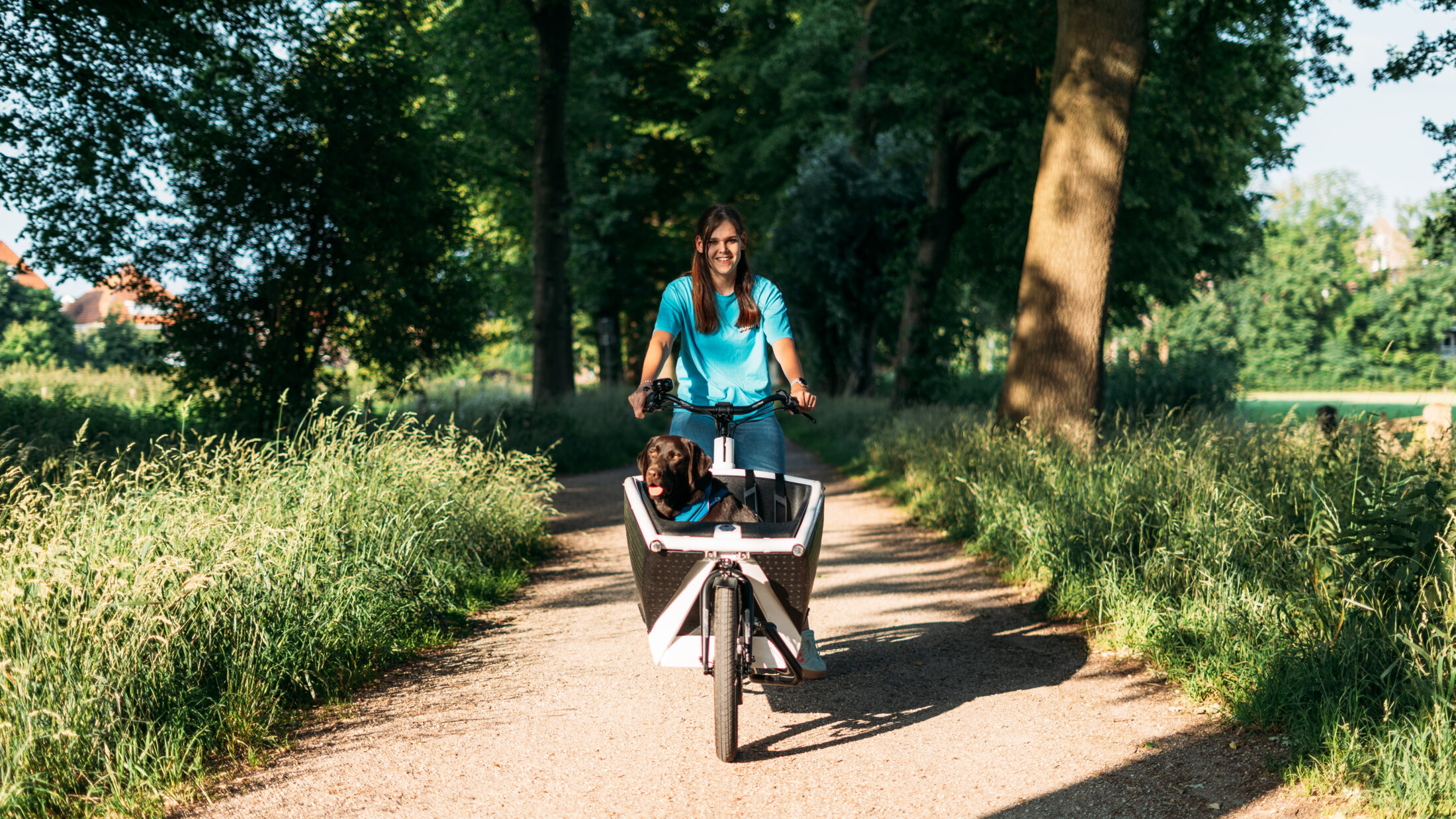 Een bakfiets. Een labrador. En een flinke dosis nieuwsgierigheid.