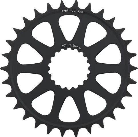 Cannondale-SpideRing 10 Arm 55 CL Chainring BK 30t