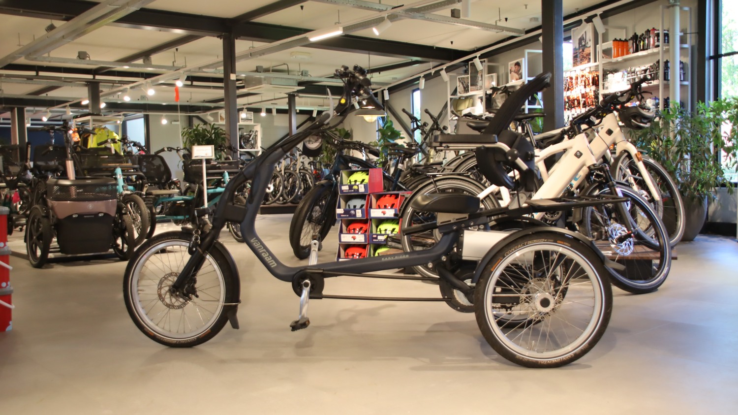 Occasion Van Raam Easy Rider3 Maat M