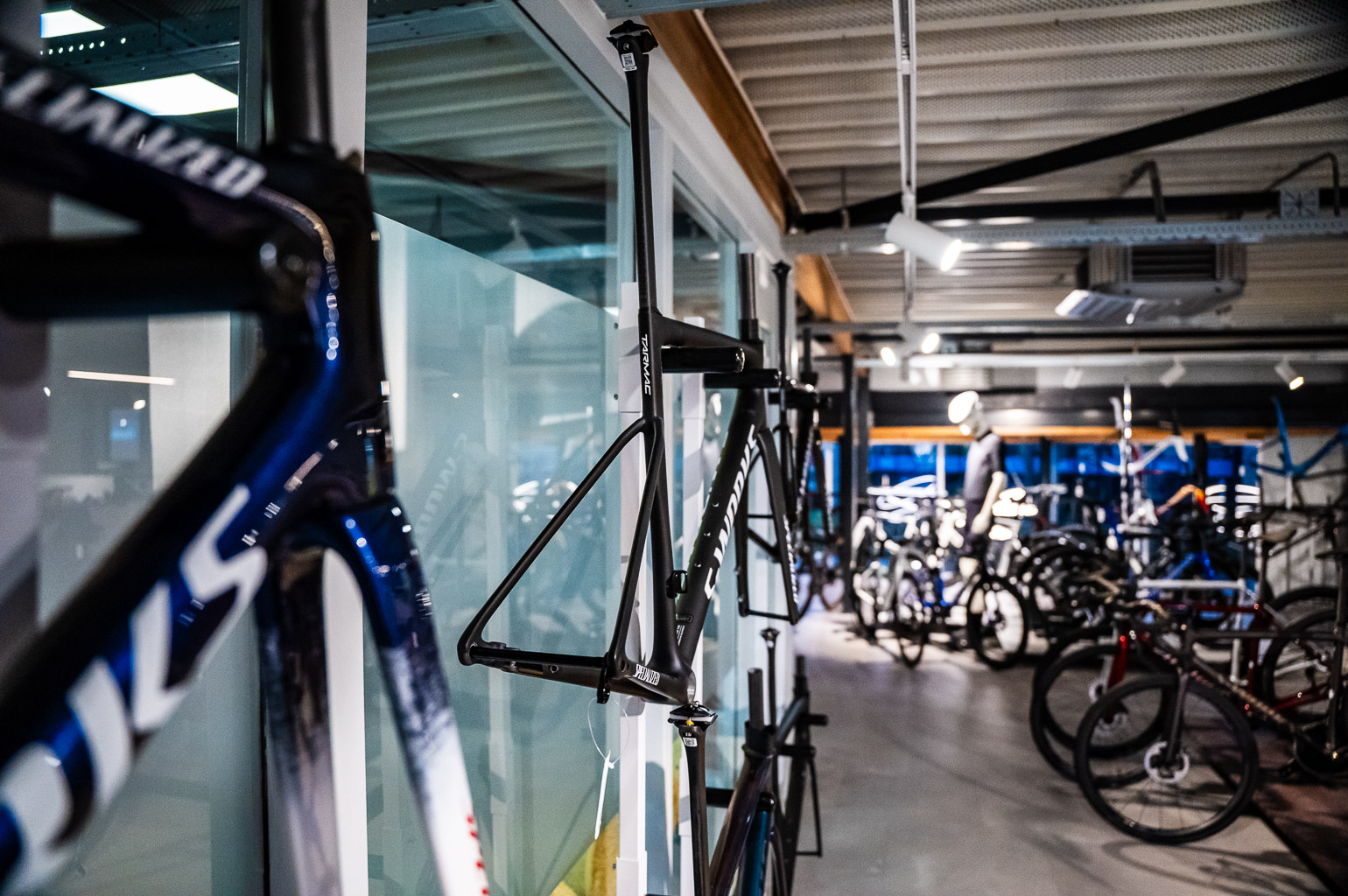 Retul Specialized Bikefit Coen Pedaleur 31