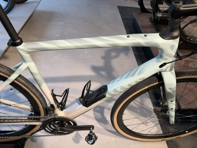 Specialized Diverge Expert