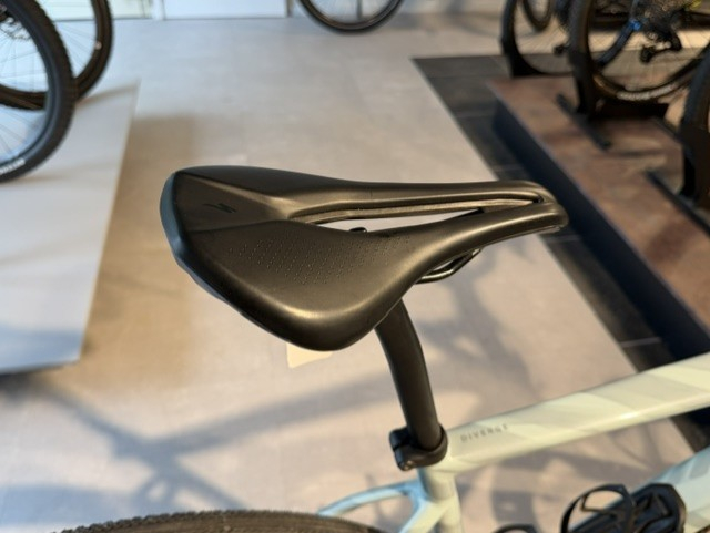 Specialized Diverge Expert